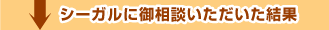 シーガルに御相談いただいた結果